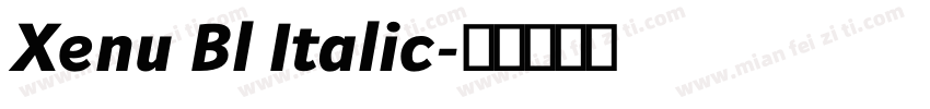 Xenu Bl Italic字体转换